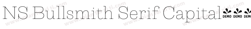 NS Bullsmith Serif Capital字体转换